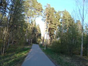 <img300*0:stuff/z/1/Valborg2009/DSC02461.JPG>