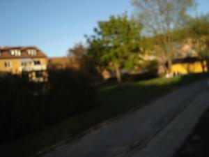 <img300*0:stuff/z/1/Valborg2009/DSC02488.JPG>