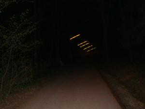 <img300*0:stuff/z/1/Valborg2009/DSC02540.JPG>