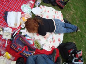 <img300*0:stuff/z/1/Valborg2010/DSC00053.JPG>