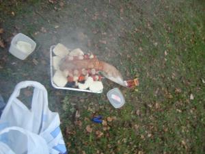 <img300*0:stuff/z/1/Valborg2010/DSC00065.JPG>