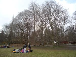 <img300*0:stuff/z/1/Valborg2013/DSC08078.JPG>