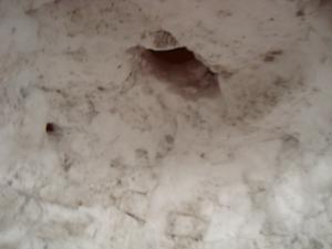 <img300*0:stuff/z/1/Valentine2010/DSC08675.JPG>