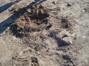 <img300*0:stuff/z/1/Valla%2520Archaeology%2520Excavation/DSC04207.JPG>