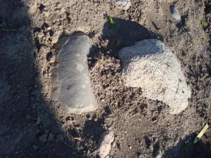<img300*0:stuff/z/1/Valla%2520Archaeology%2520Excavation/DSC04220.JPG>
