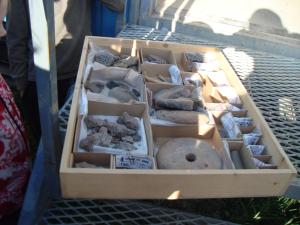<img300*0:stuff/z/1/Valla%2520Archaeology%2520Excavation/DSC04225.JPG>