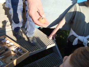 <img300*0:stuff/z/1/Valla%2520Archaeology%2520Excavation/DSC04227.JPG>