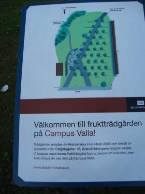 <img300*0:stuff/z/1/Valla%2520Archaeology%2520Excavation/DSC04239.JPG>