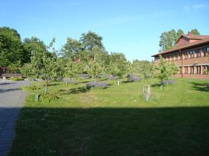 <img300*0:stuff/z/1/Valla%2520Archaeology%2520Excavation/DSC04240.JPG>