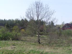 <img300*0:stuff/z/1/Walk%2520with%2520Julia/p1010009.jpg>