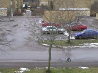 <img200*0:stuff/z/1/Winter%2520tree%2520photo%2520reference/p1010003.jpg>