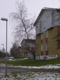 <imgl200*0:stuff/z/1/Winter%2520tree%2520photo%2520reference/p1010008.jpg>