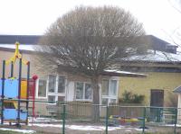 <img200*0:stuff/z/1/Winter%2520tree%2520photo%2520reference/p1010014.jpg>