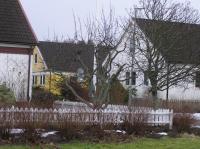 <img200*0:stuff/z/1/Winter%2520tree%2520photo%2520reference/p1010015.jpg>