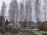 <img200*0:stuff/z/1/Winter%2520tree%2520photo%2520reference/p1010016.jpg>
