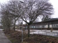 <img200*0:stuff/z/1/Winter%2520tree%2520photo%2520reference/p1010018.jpg>