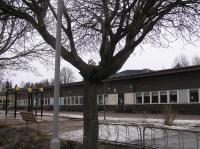 <img200*0:stuff/z/1/Winter%2520tree%2520photo%2520reference/p1010019.jpg>