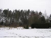 <img200*0:stuff/z/1/Winter%2520tree%2520photo%2520reference/p1010030.jpg>