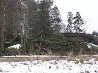 <img200*0:stuff/z/1/Winter%2520tree%2520photo%2520reference/p1010035.jpg>