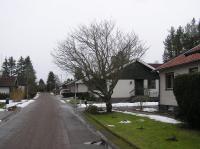 <img200*0:stuff/z/1/Winter%2520tree%2520photo%2520reference/p1010036.jpg>