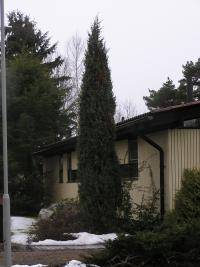 <imgl200*0:stuff/z/1/Winter%2520tree%2520photo%2520reference/p1010039.jpg>