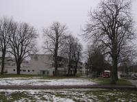 <img200*0:stuff/z/1/Winter%2520tree%2520photo%2520reference/p1010048.jpg>