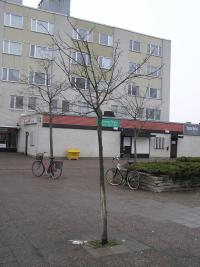 <imgl200*0:stuff/z/1/Winter%2520tree%2520photo%2520reference/p1010050.jpg>