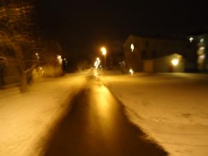 <img300*0:stuff/z/1/WinterNightwalkInRyd/dsc05921.jpg>
