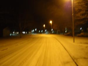 <img300*0:stuff/z/1/WinterNightwalkInRyd/dsc05927.jpg>