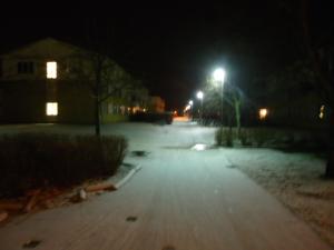 <img300*0:stuff/z/1/WinterNightwalkInRyd/dsc05929.jpg>