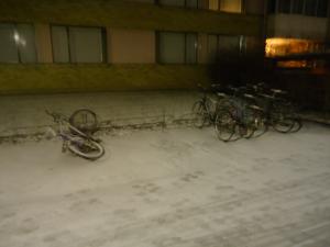<img300*0:stuff/z/1/WinterNightwalkInRyd/dsc05930.jpg>