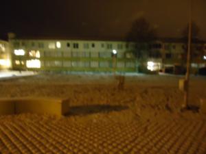<img300*0:stuff/z/1/WinterNightwalkInRyd/dsc05937.jpg>