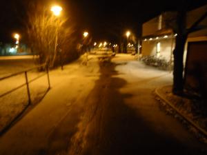 <img300*0:stuff/z/1/WinterNightwalkInRyd/dsc05941.jpg>
