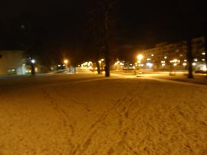 <img300*0:stuff/z/1/WinterNightwalkInRyd/dsc05949.jpg>