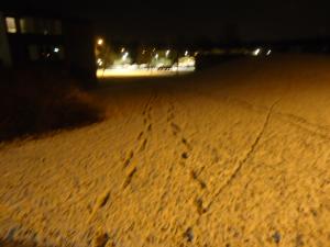 <img300*0:stuff/z/1/WinterNightwalkInRyd/dsc05968.jpg>