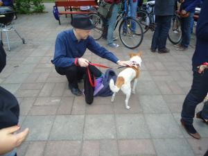 <img300*0:stuff/z/1/WorkingAtHG/dsc04840.jpg>
