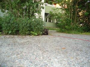 <img300*0:stuff/z/1/alltTmp/dsc04855.jpg>