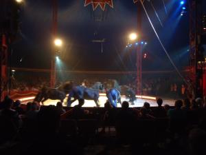 <img300*0:stuff/z/1/alltTmp/dsc04871.jpg>