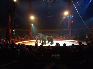 <img300*0:stuff/z/1/alltTmp/dsc04873.jpg>
