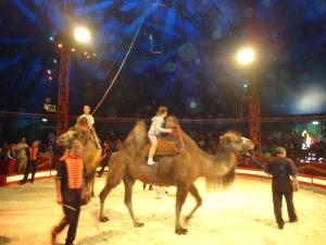<img300*0:stuff/z/1/alltTmp/dsc04876.jpg>