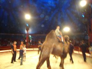 <img300*0:stuff/z/1/alltTmp/dsc04877.jpg>