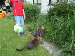 <img300*0:stuff/z/1/alltTmp/dsc04894.jpg>