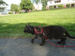 <img300*0:stuff/z/1/alltTmp/dsc04903.jpg>