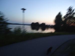 <img300*0:stuff/z/1/alltTmp/dsc04923.jpg>