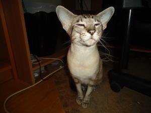 <img300*0:stuff/z/1/alltTmp/dsc04945.jpg>