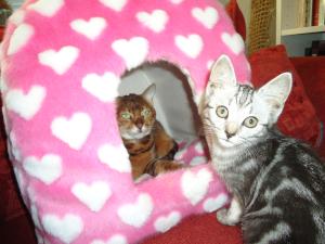 <img300*0:stuff/z/1/alltTmp/dsc04946.jpg>