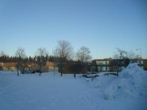 <img300*0:stuff/z/1/birds%2520and%2520birds/DSC08186.JPG>