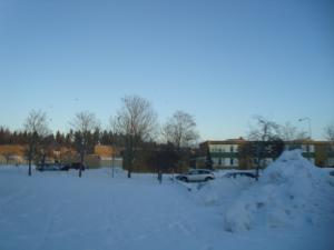<img300*0:stuff/z/1/birds%2520and%2520birds/DSC08187.JPG>