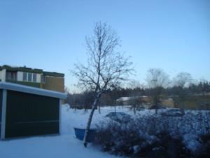 <img300*0:stuff/z/1/birds%2520and%2520birds/DSC08191.JPG>