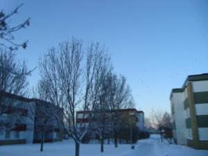 <img300*0:stuff/z/1/birds%2520and%2520birds/DSC08194.JPG>